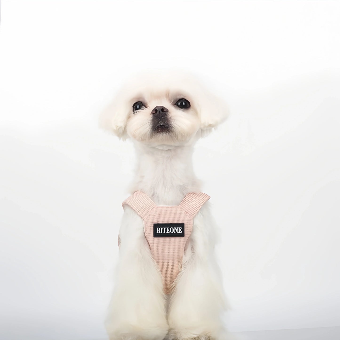 Chanel-inspired Pet Dress