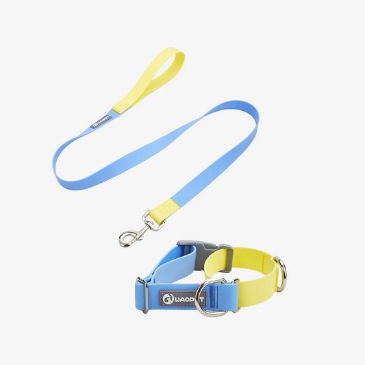 Contrasting Colors Waterproof Dog Collar & Leash Kit