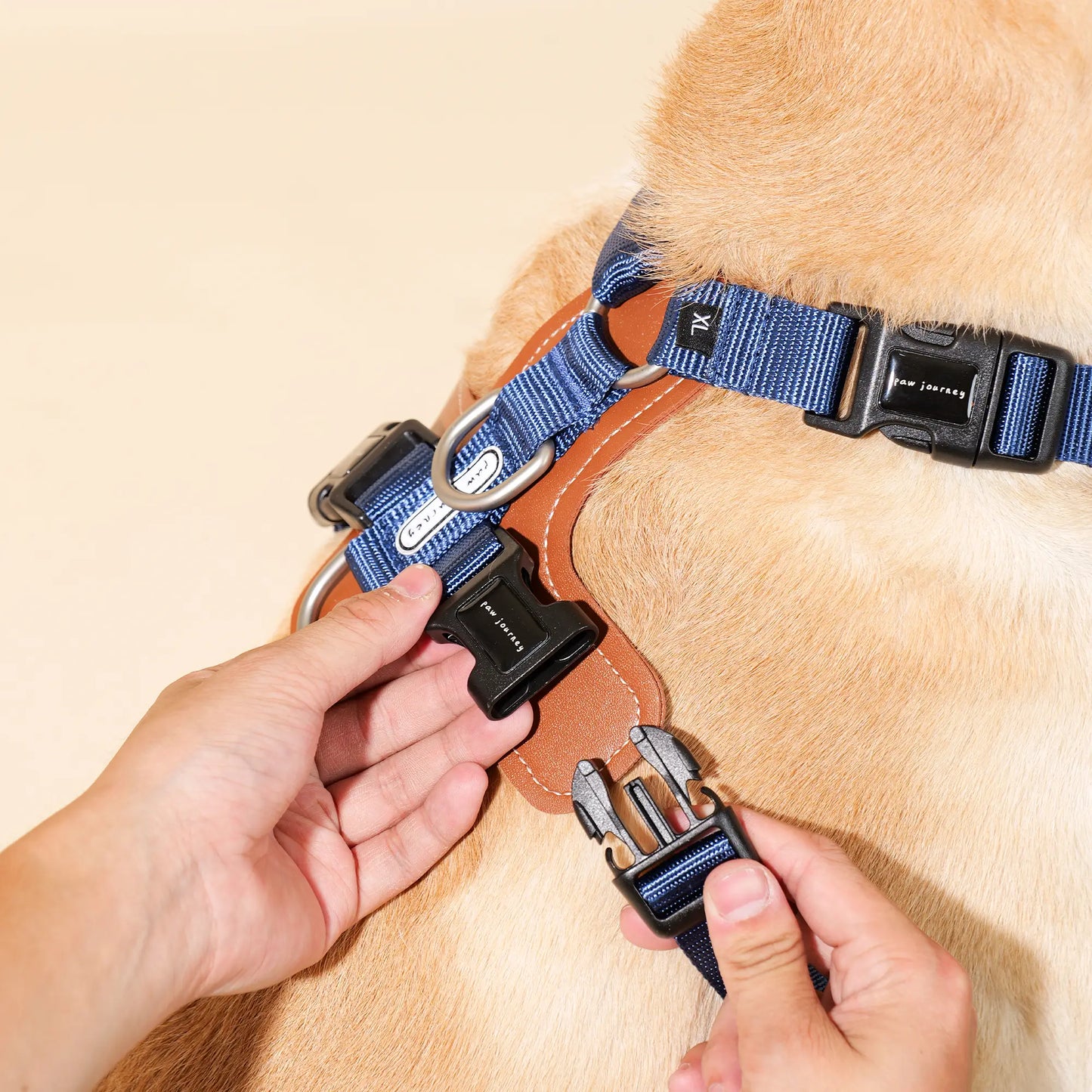 Hands Free Dog Harness Walk Kit