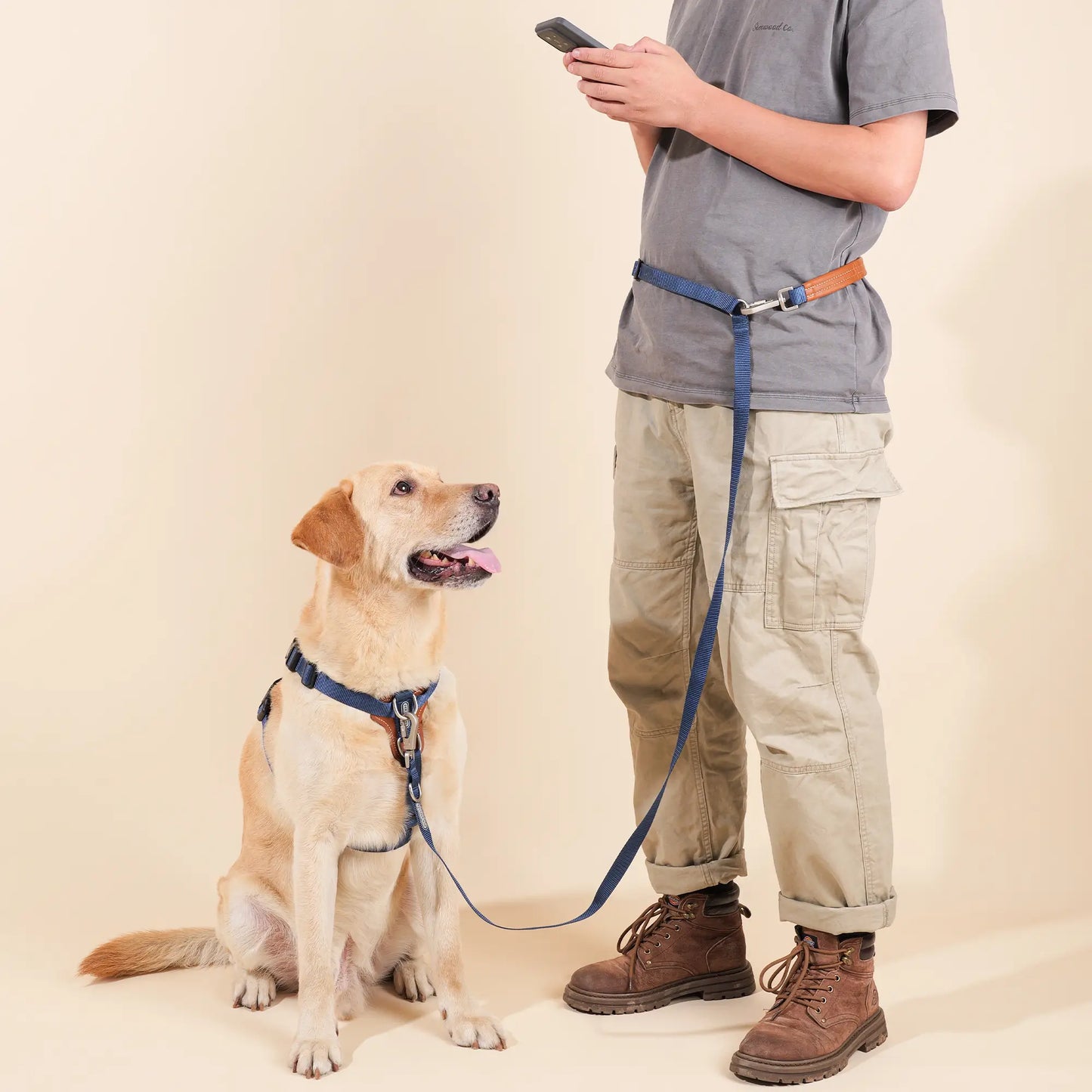 Hands Free Dog Harness Walk Kit