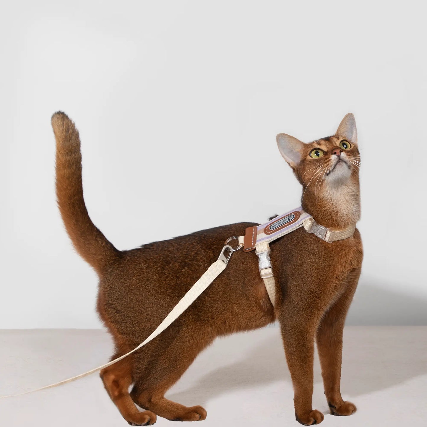 Striped Cat  Harness & Leash Set