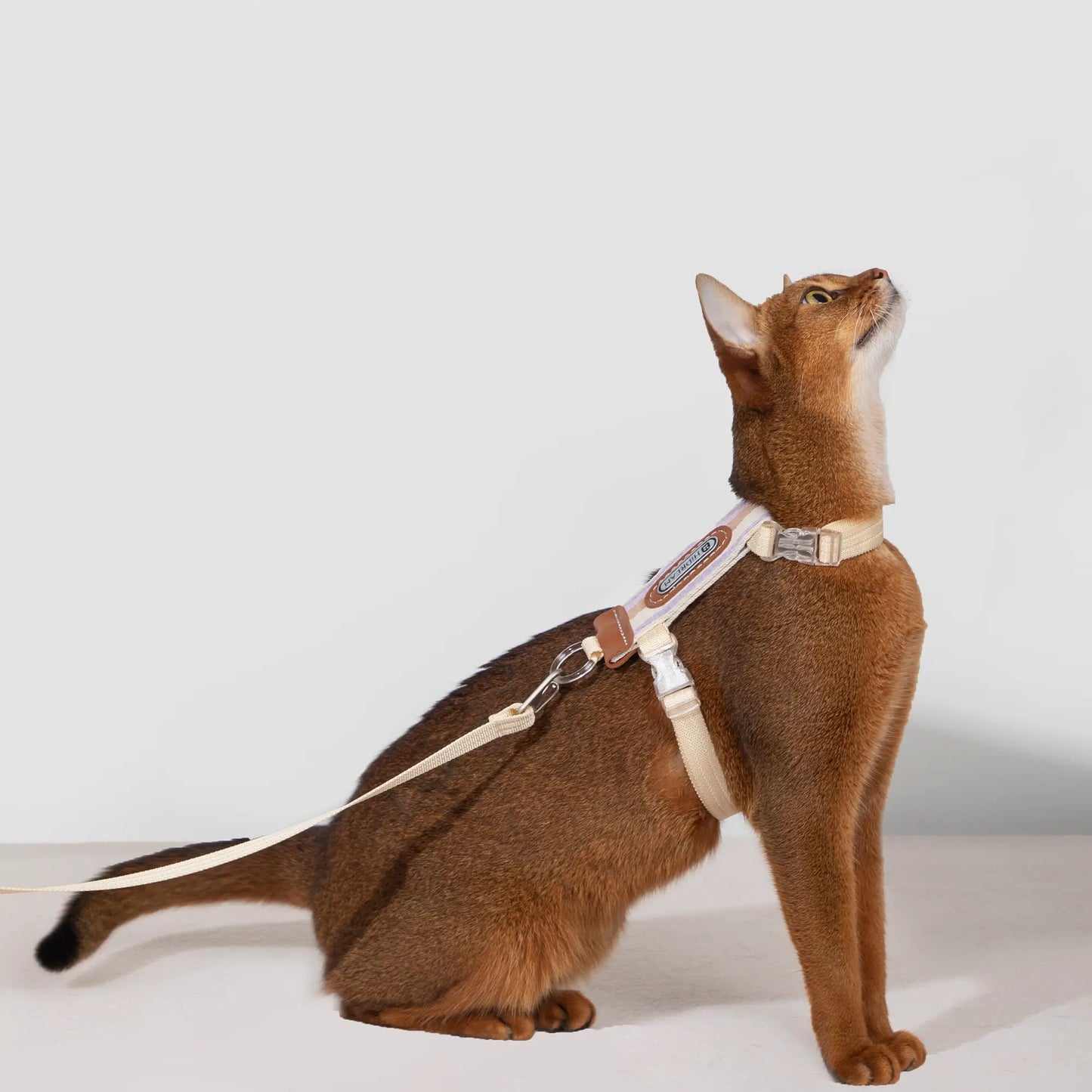 Striped Cat  Harness & Leash Set