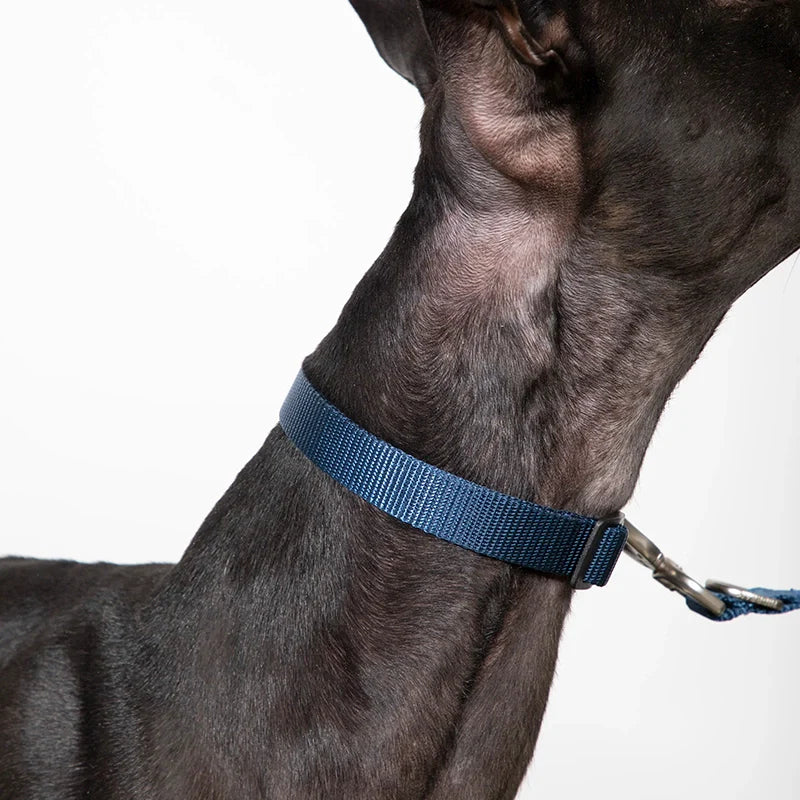 Leather-Stitched Dog Collar