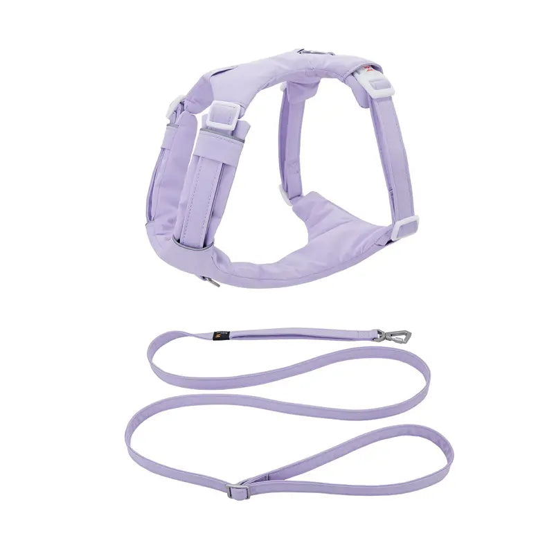 No-Pull Cushioned Dog Harness & Leash Kit