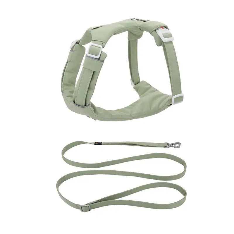 No-Pull Cushioned Dog Harness & Leash Kit