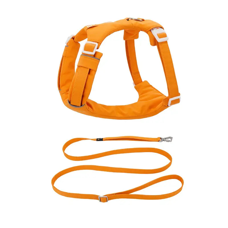 No-Pull Cushioned Dog Harness & Leash Kit