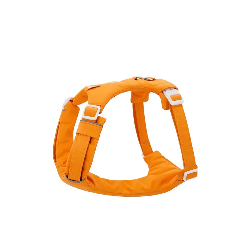 No-Pull Cushioned Dog Harness & Leash Kit