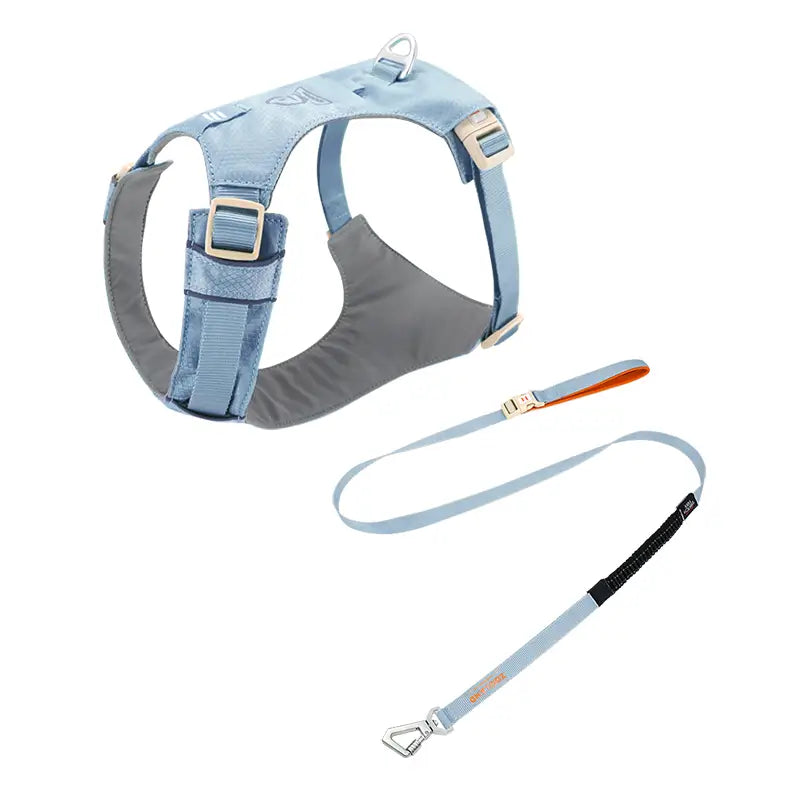 No-Pull Lightweight Dog Harness & Leash Kit