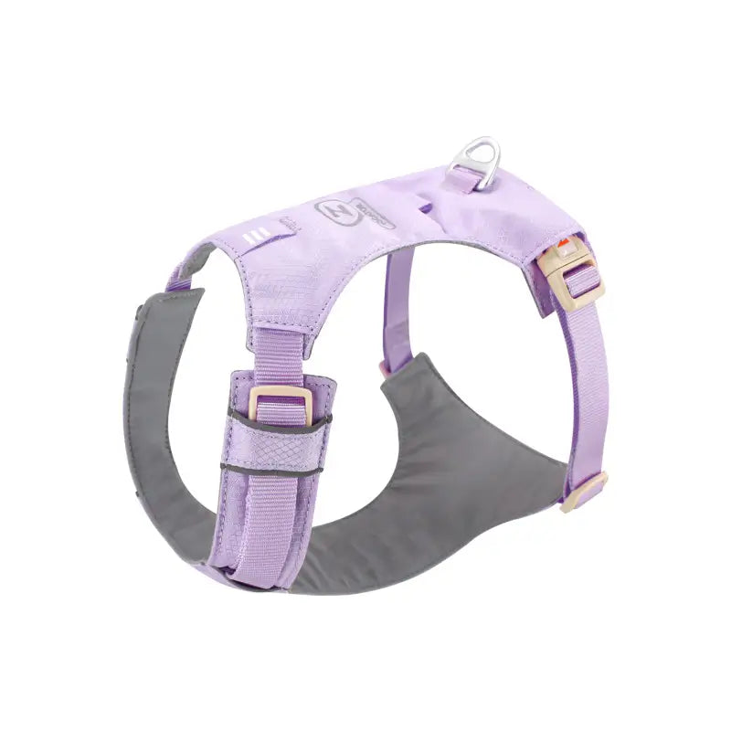 No-Pull Lightweight Dog Harness & Leash Kit