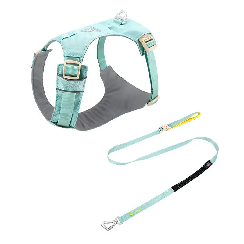 No-Pull Lightweight Dog Harness & Leash Kit