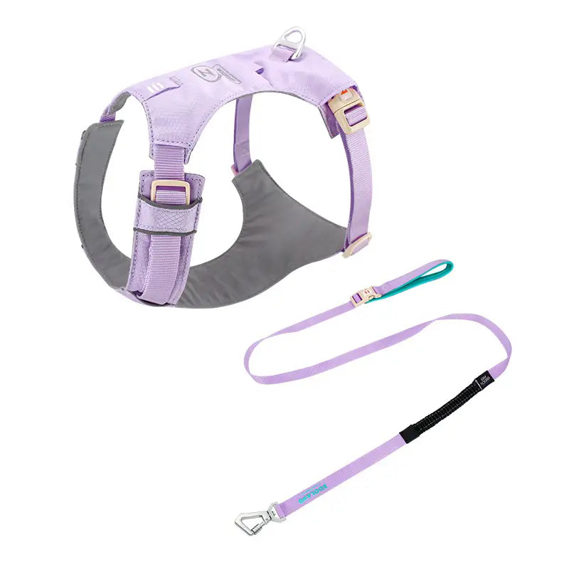 No-Pull Lightweight Dog Harness & Leash Kit