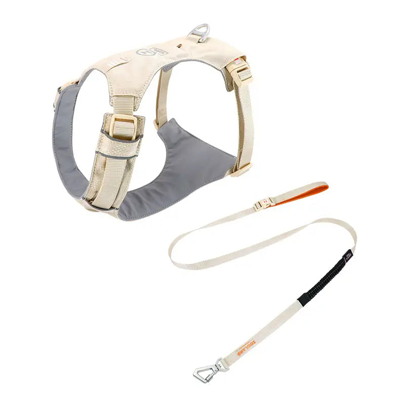 No-Pull Lightweight Dog Harness & Leash Kit