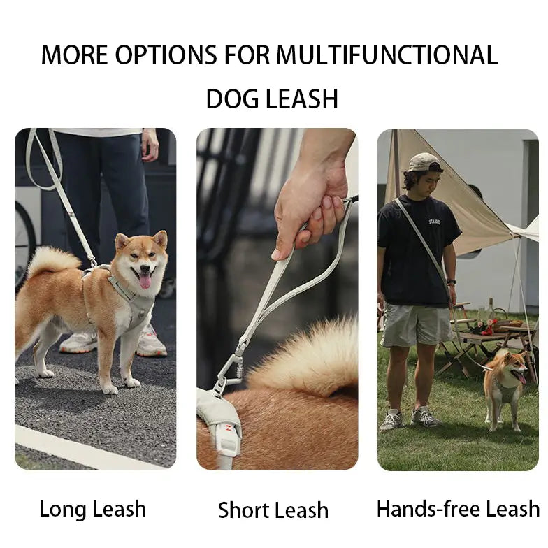 No-Pull Cushioned Dog Harness & Leash Kit