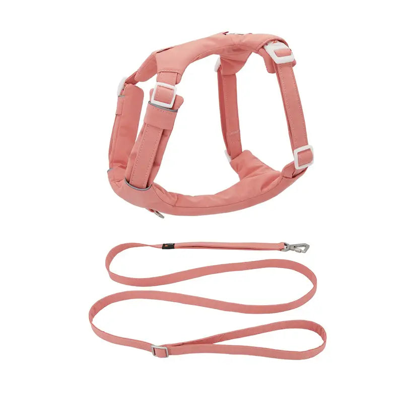 No-Pull Cushioned Dog Harness & Leash Kit