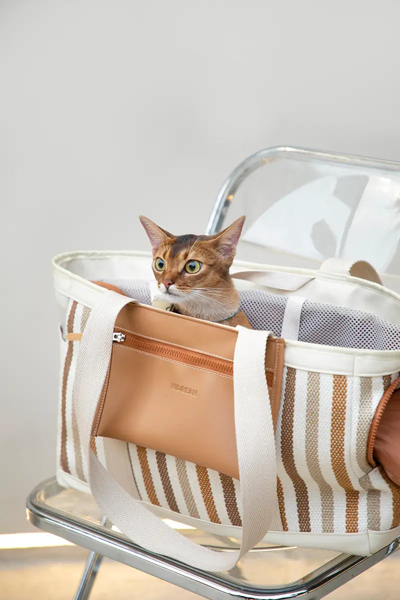 Outdoor Single-shoulder Pet Bag