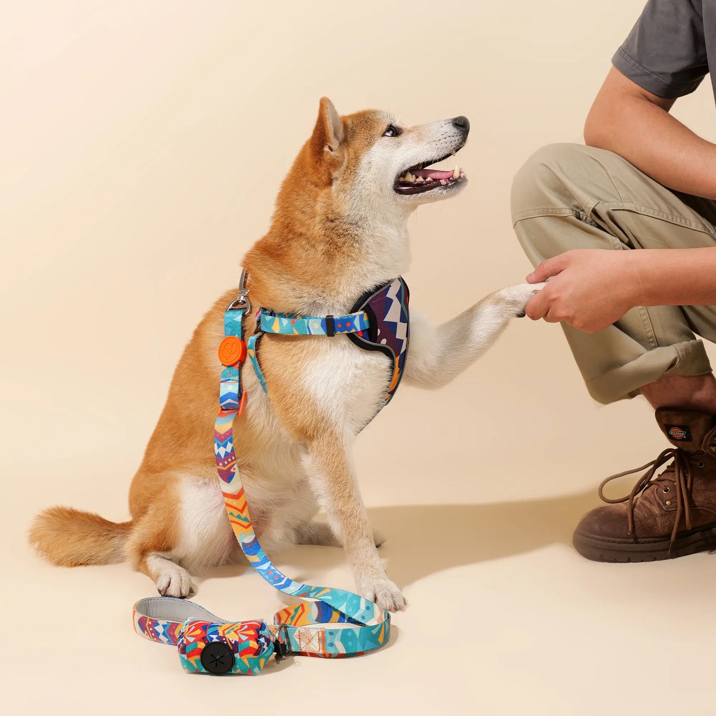 Adjustable Color-Blocked Dog Collar & Leash Kit