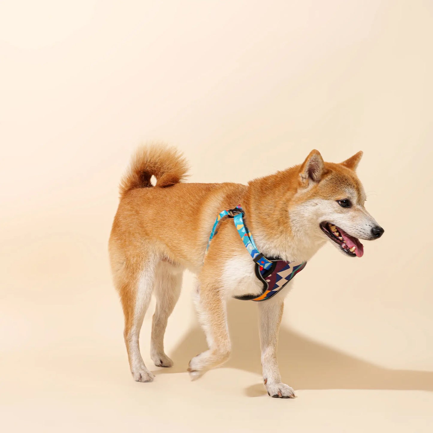 Adjustable Front Clip Dog Harness