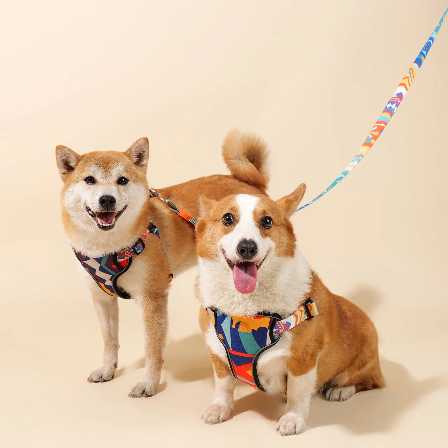 Adjustable Color-Blocked Dog Harness & Leash Kit