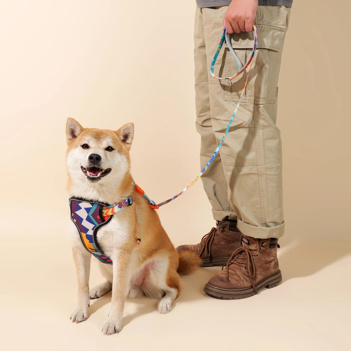 Adjustable Color-Blocked Dog Harness & Leash Kit