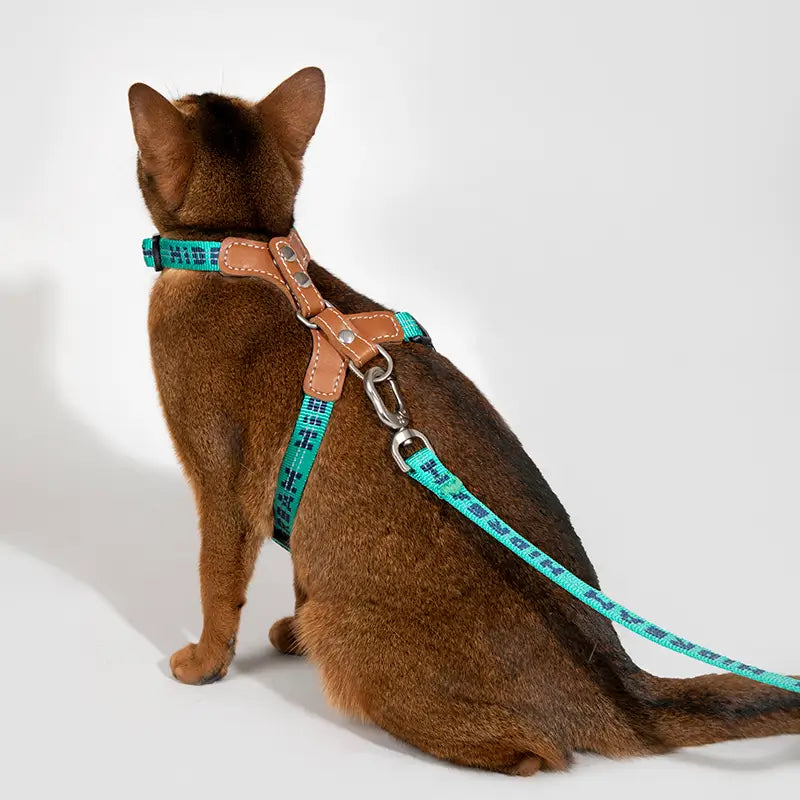 Adjustable Cat Harness & Leash Kit