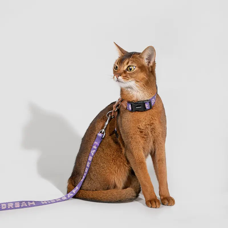 Adjustable Cat Harness & Leash Kit