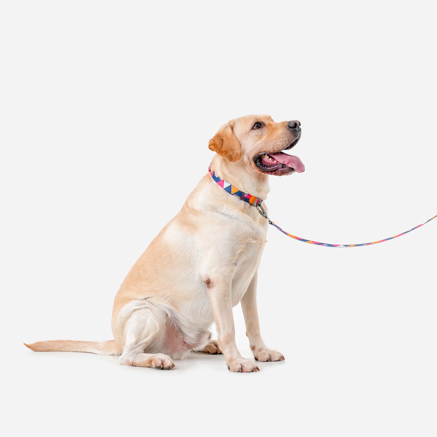 ColorfulPlaid Dog Leash-Reflective