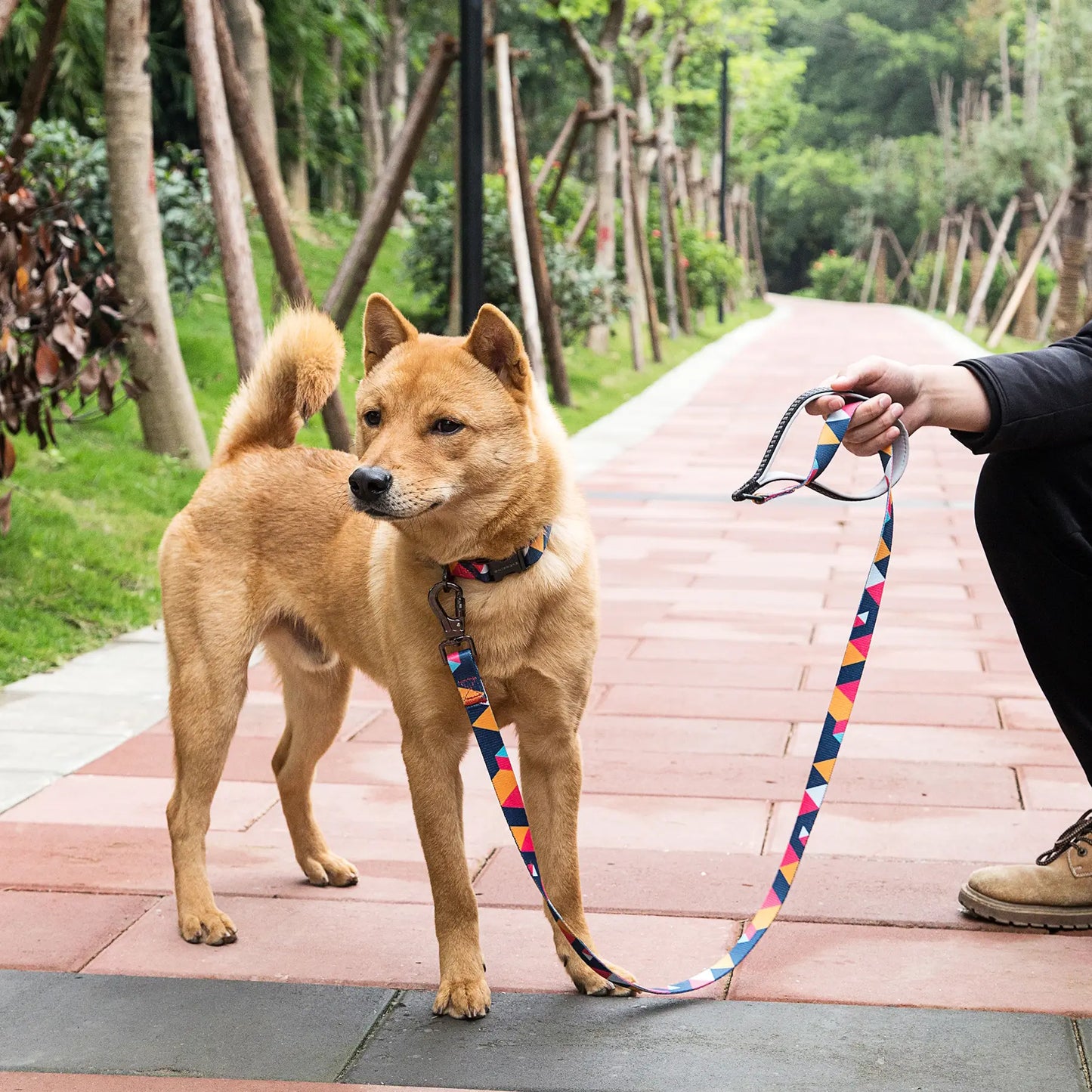 ColorfulPlaid Dog Leash-Reflective