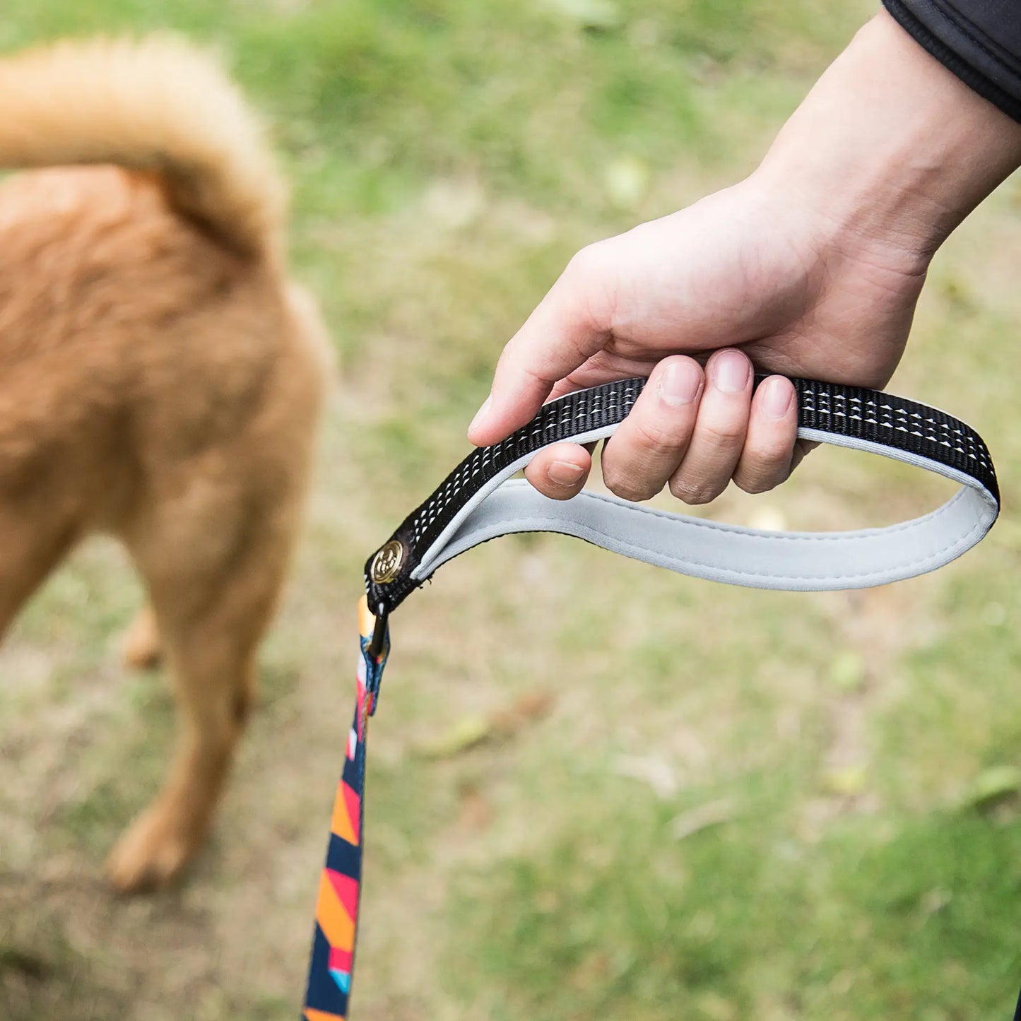 ColorfulPlaid Dog Leash-Reflective