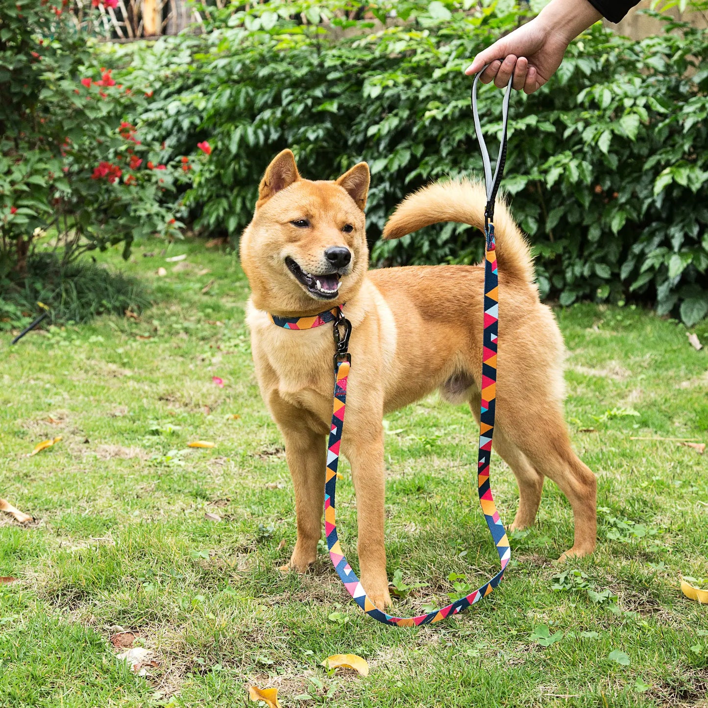 ColorfulPlaid Dog Leash-Reflective