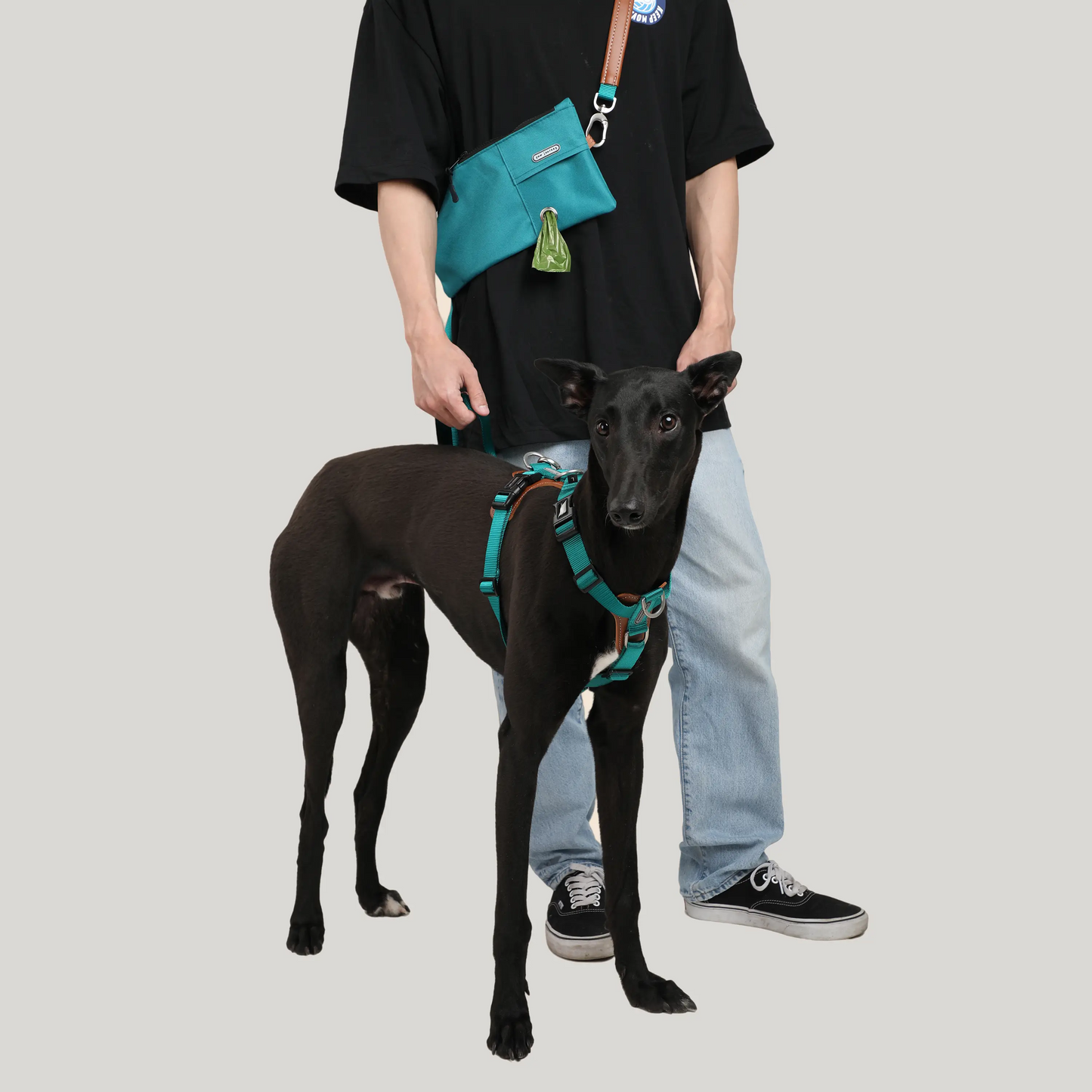 Hands Free Dog Harness Walk Kit